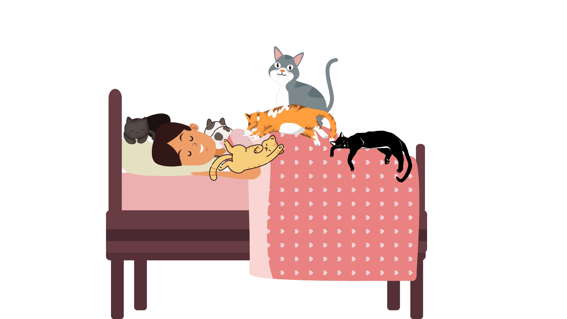 Bedtime with my cats